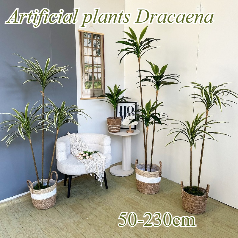 Artificial Dracaena Fake Plant - Dracaena Marginata avis et prix