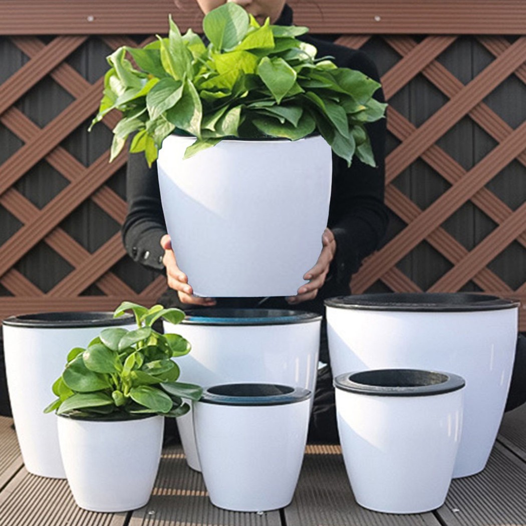 Automatic Watering Flower Plan - Aloe Vera Pot avis et prix
