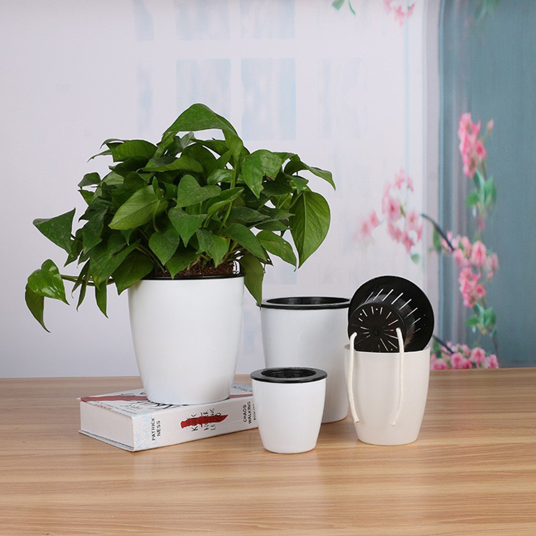 Automatic Watering Flower Plan - Aloe Vera Pot avis et prix