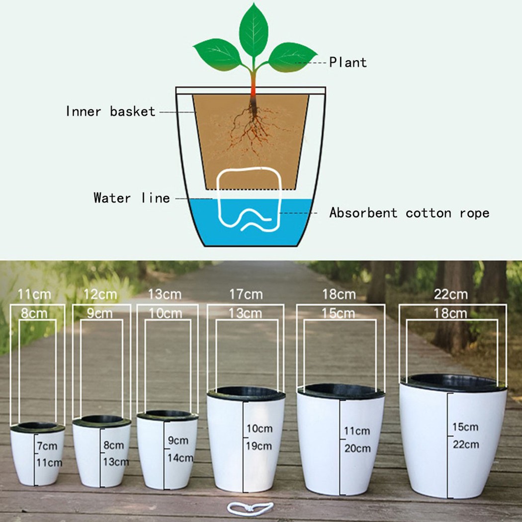 Automatic Watering Flower Plan - Aloe Vera Pot avis et prix