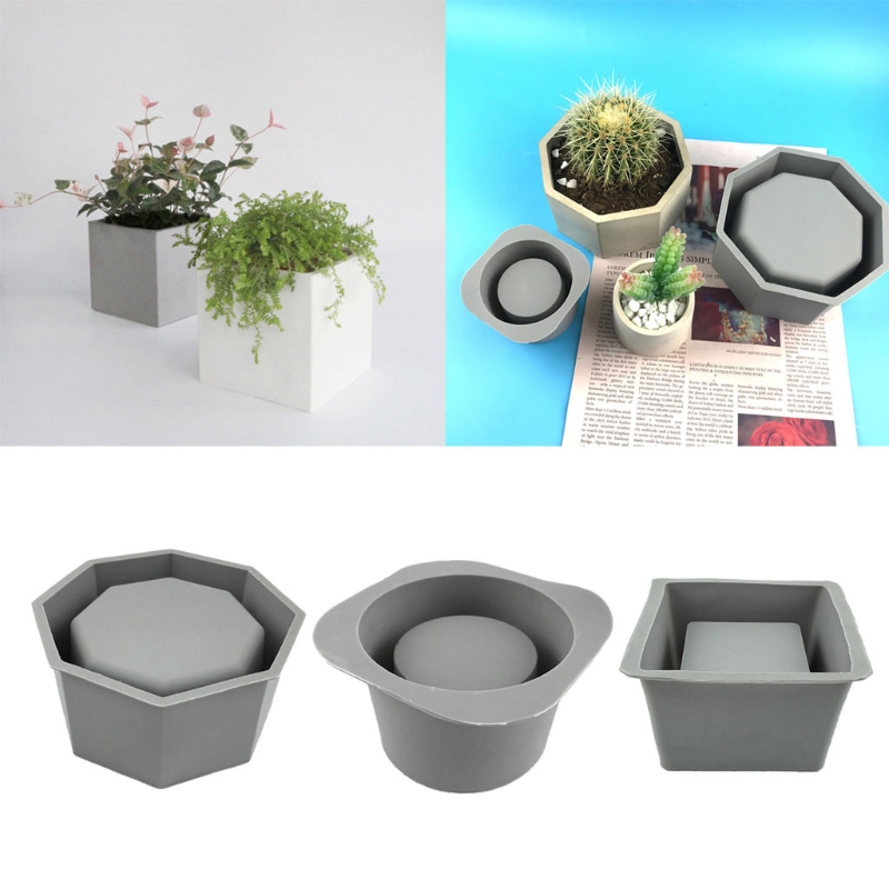 Handmade Succulent Planter Flo - Echeveria Succulent avis et prix