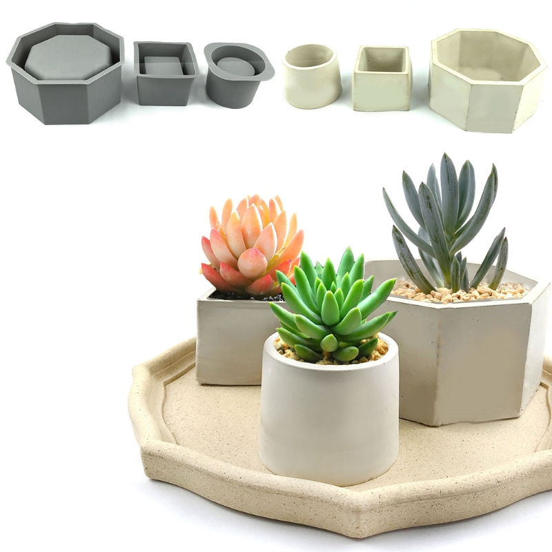 Handmade Succulent Planter Flo - Echeveria Succulent avis et prix