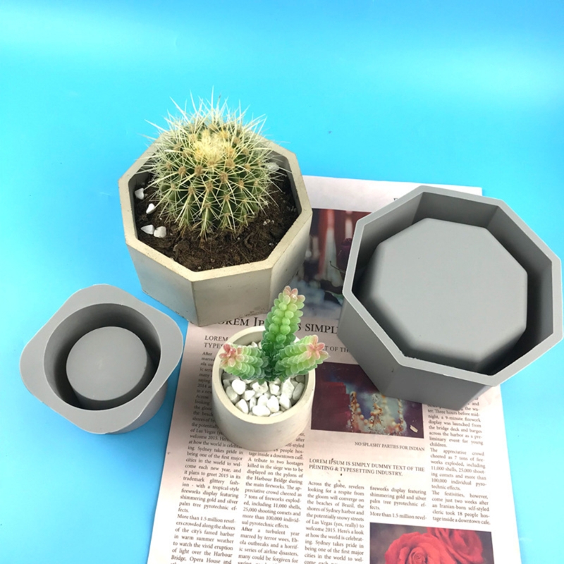 Handmade Succulent Planter Flo - Echeveria Succulent avis et prix
