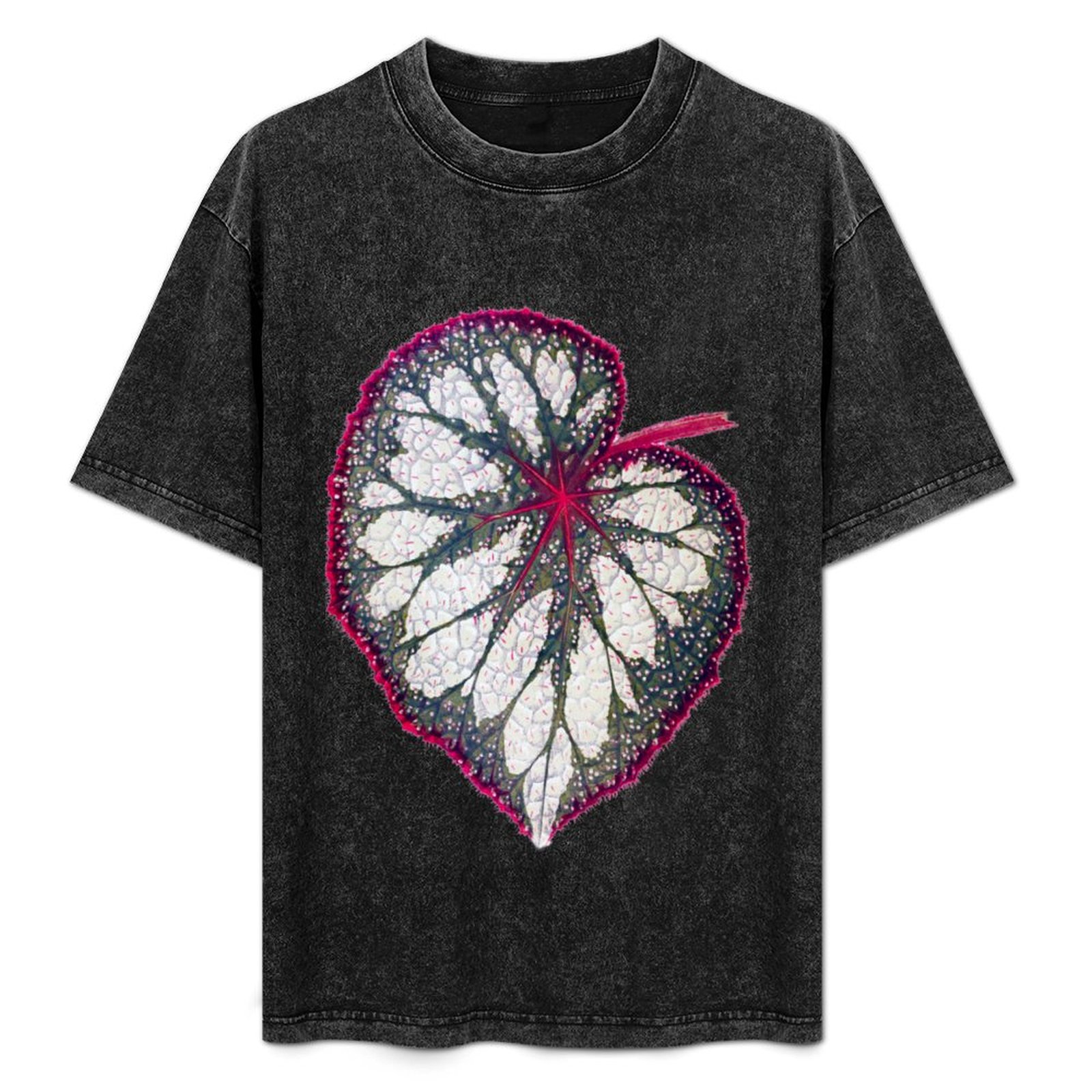 Begonia rex T-Shirt Holiday Si - Begonia Rex avis et prix