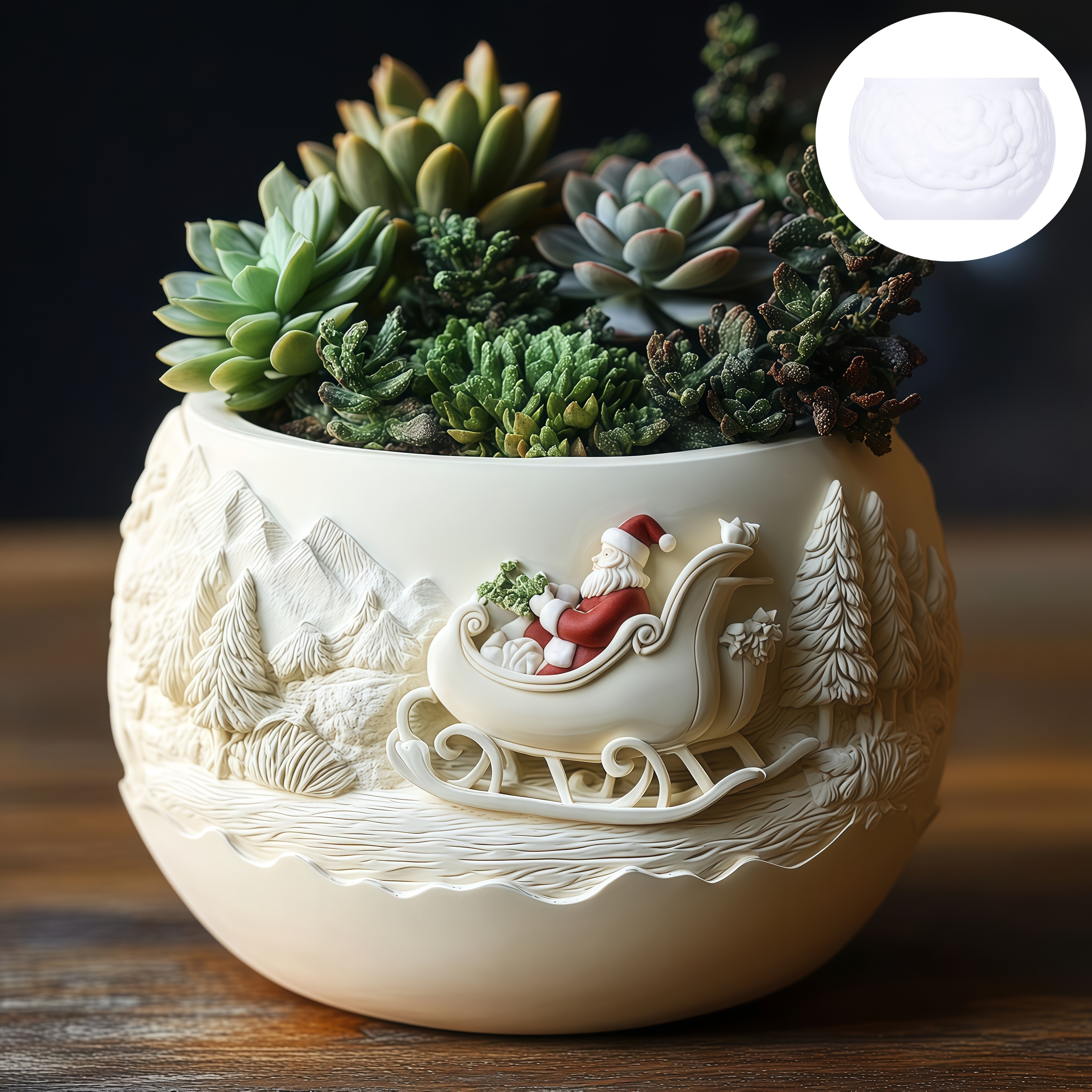 Cedar Sled Santa Claus Relief  - Echeveria Succulent avis et prix