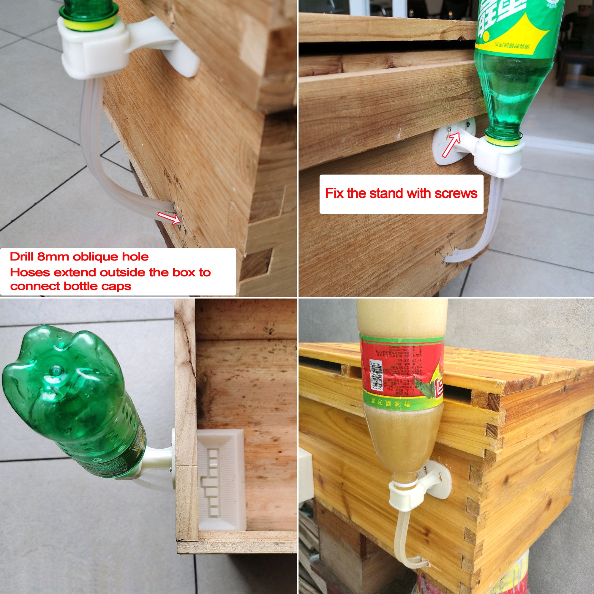2Pcs Automatic Feeding Drinker - Begonia Rex avis et prix