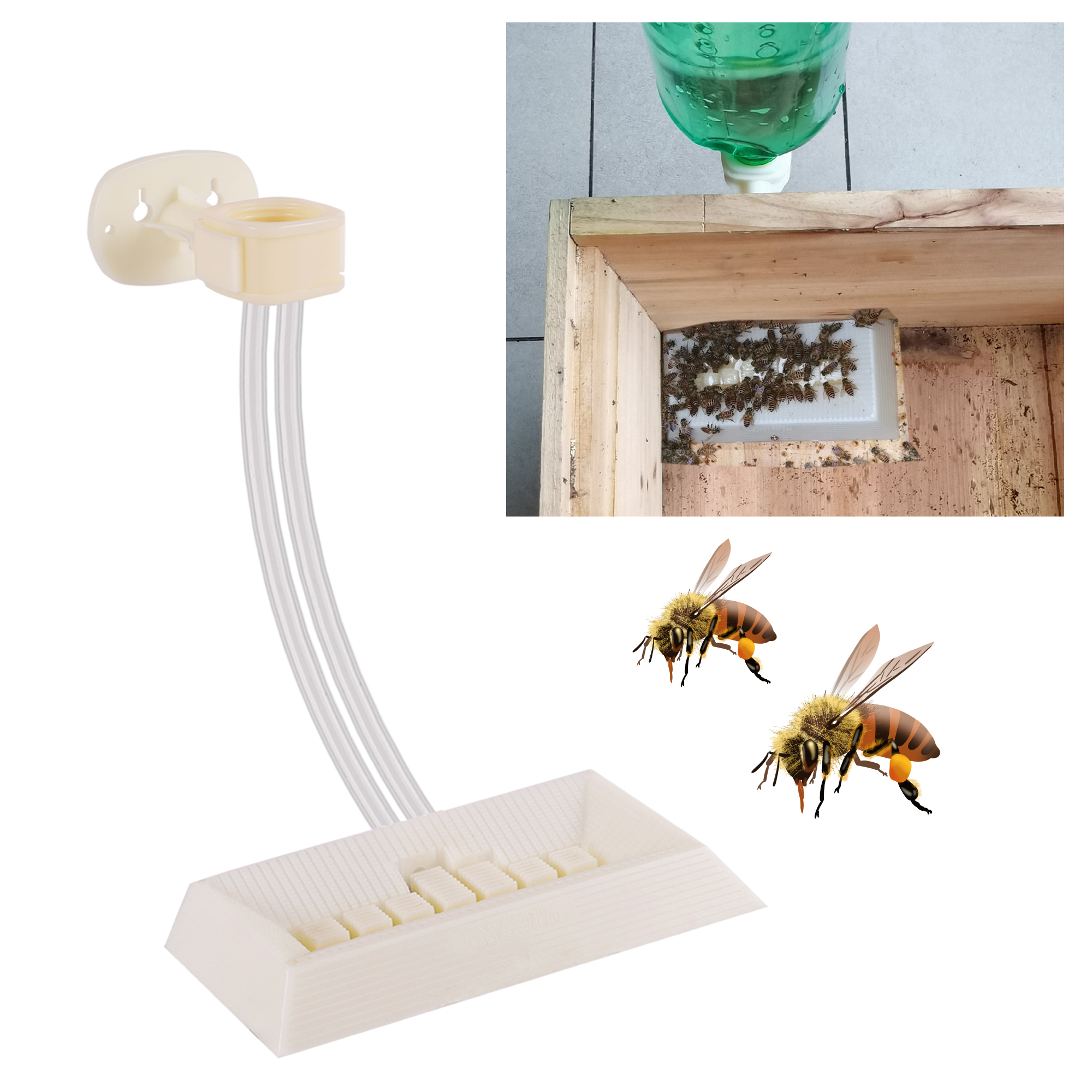 2Pcs Automatic Feeding Drinker - Begonia Rex avis et prix