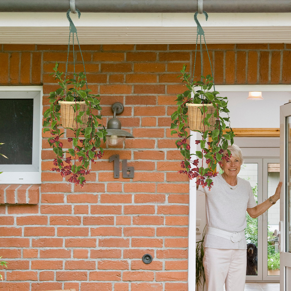 5Pcs Heavy Duty Hanging Basket - Spider Plant Hanging avis et prix
