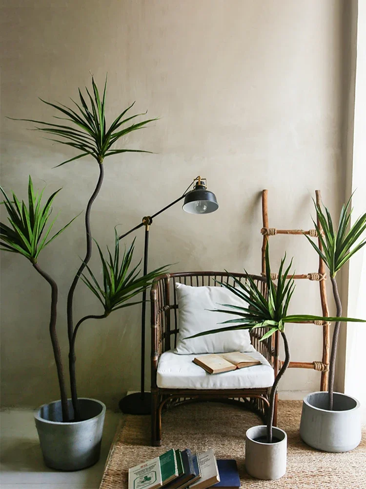 Simulation Plant Dracaena Marg - Dracaena Marginata avis et prix