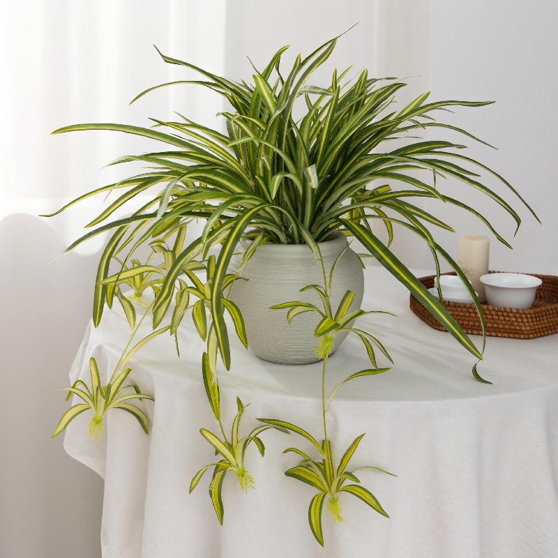 Artificial Spider Plant Chloro - Spider Plant Hanging avis et prix