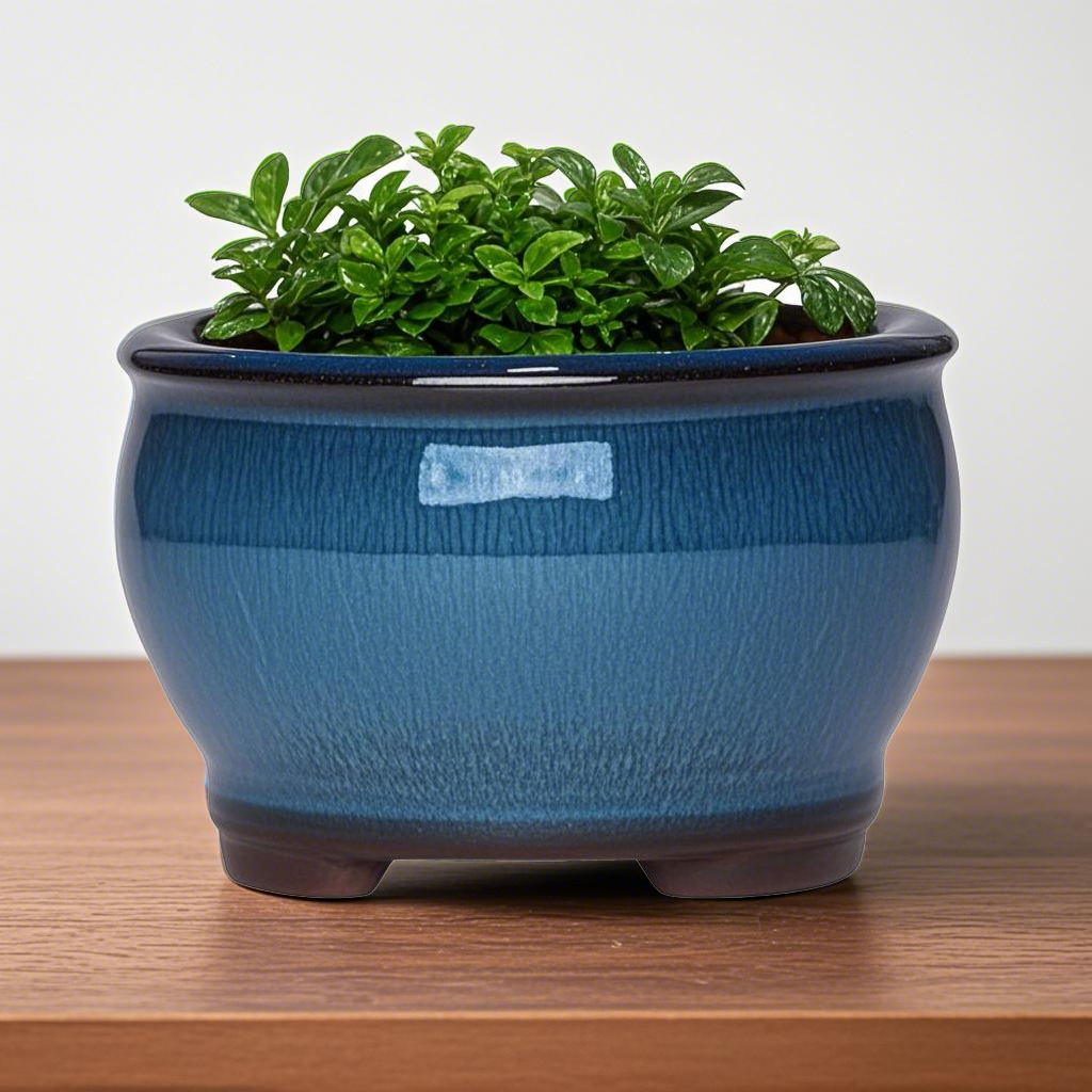 Ceramic Garden Planter Pots Ce - Aloe Vera Pot avis et prix