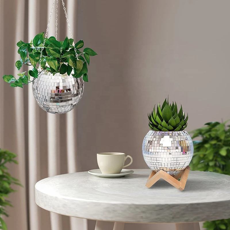 Disco Mirror Ball Hanging Flow - Echeveria Succulent avis et prix