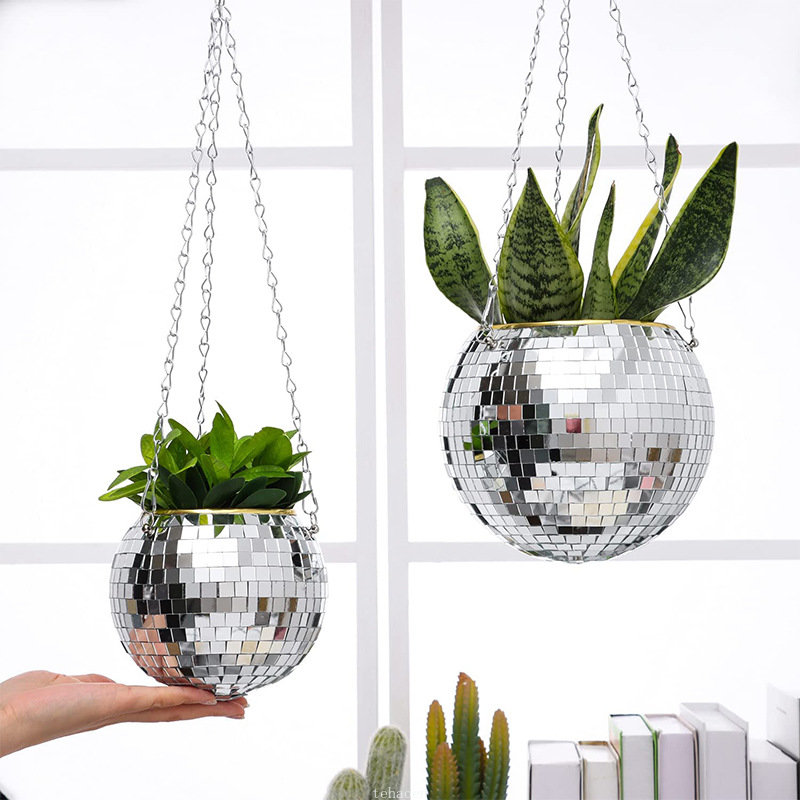 Disco Mirror Ball Hanging Flow - Echeveria Succulent avis et prix
