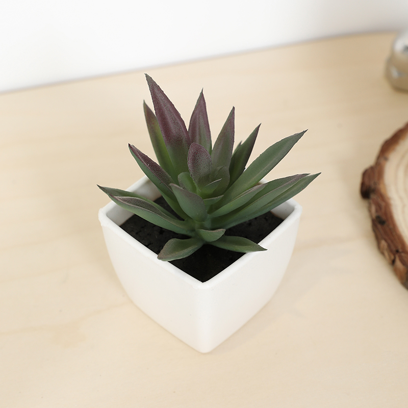 Mini Artificial Succulent Fair - Echeveria Succulent avis et prix