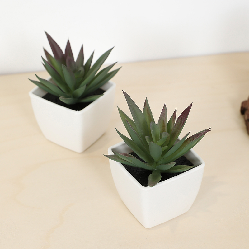 Mini Artificial Succulent Fair - Echeveria Succulent avis et prix