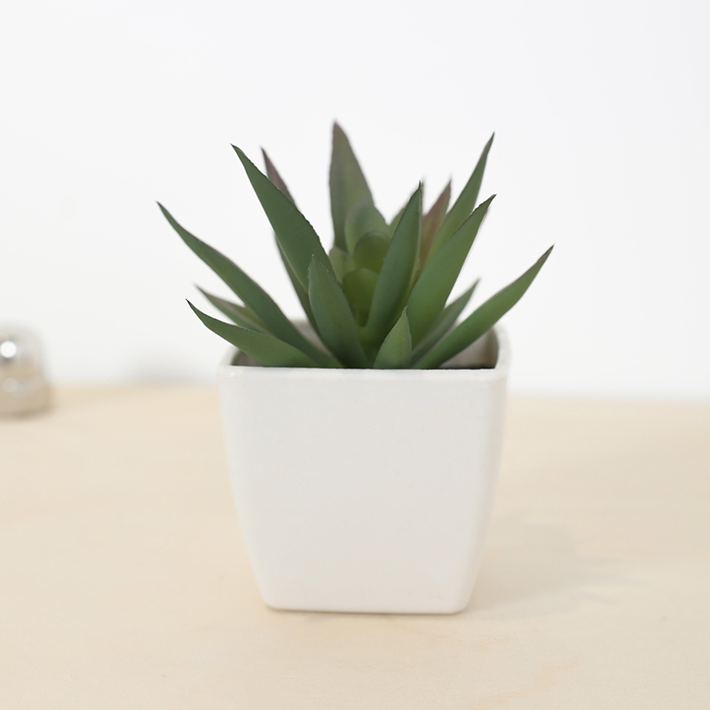 Mini Artificial Succulent Fair - Echeveria Succulent avis et prix