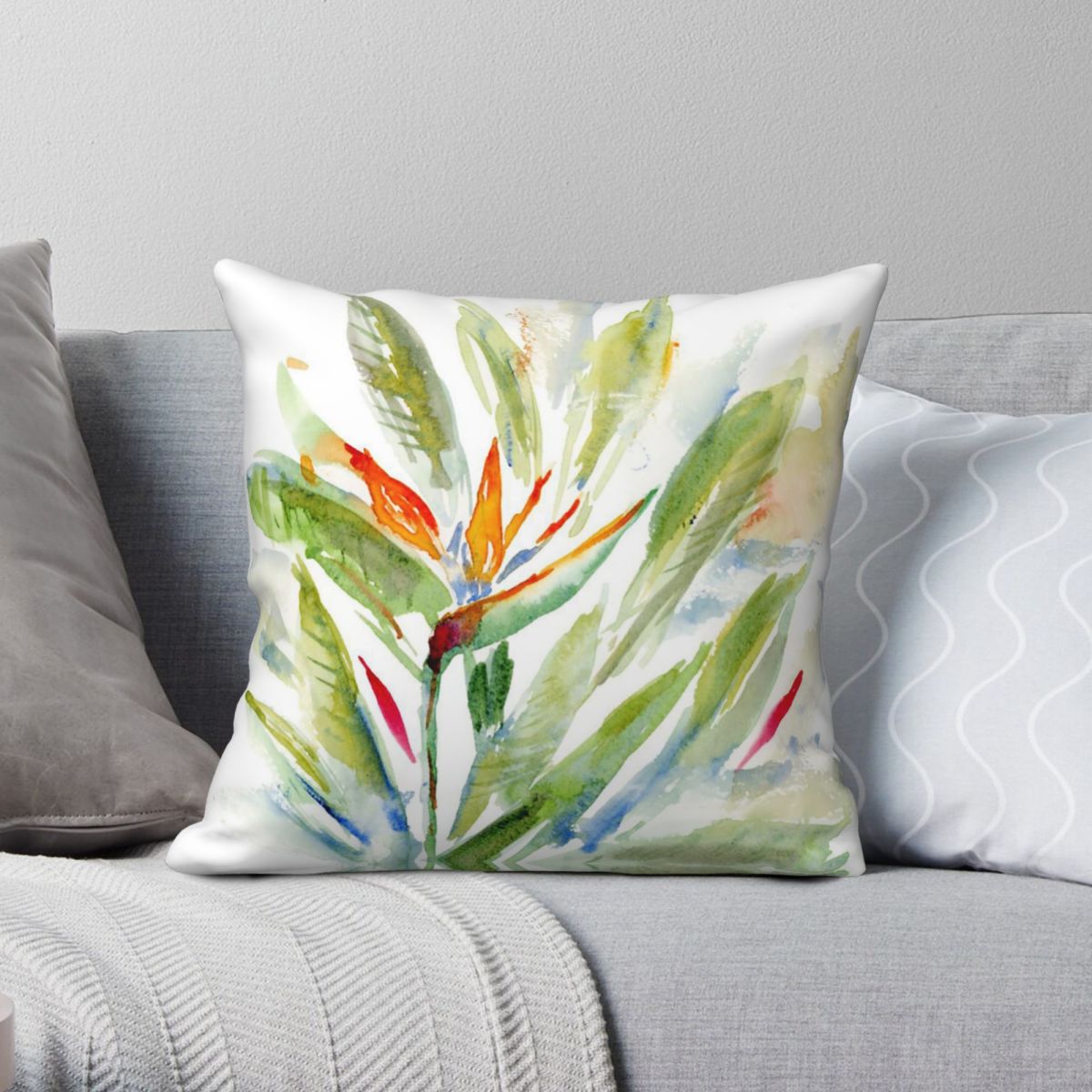 Bird Of Paradise Strelitzia Sq - Bird Paradise Strelitzia avis et prix