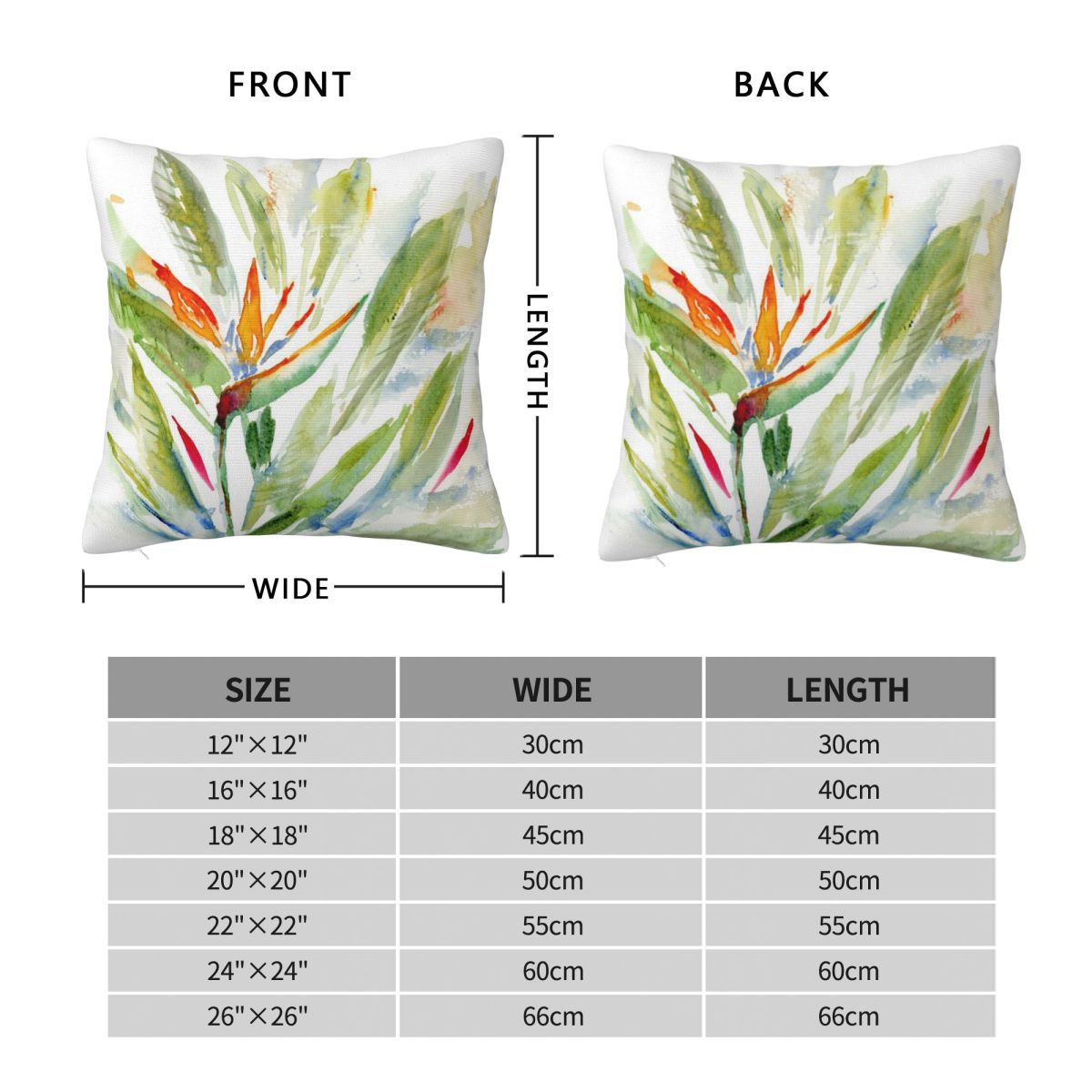 Bird Of Paradise Strelitzia Sq - Bird Paradise Strelitzia avis et prix