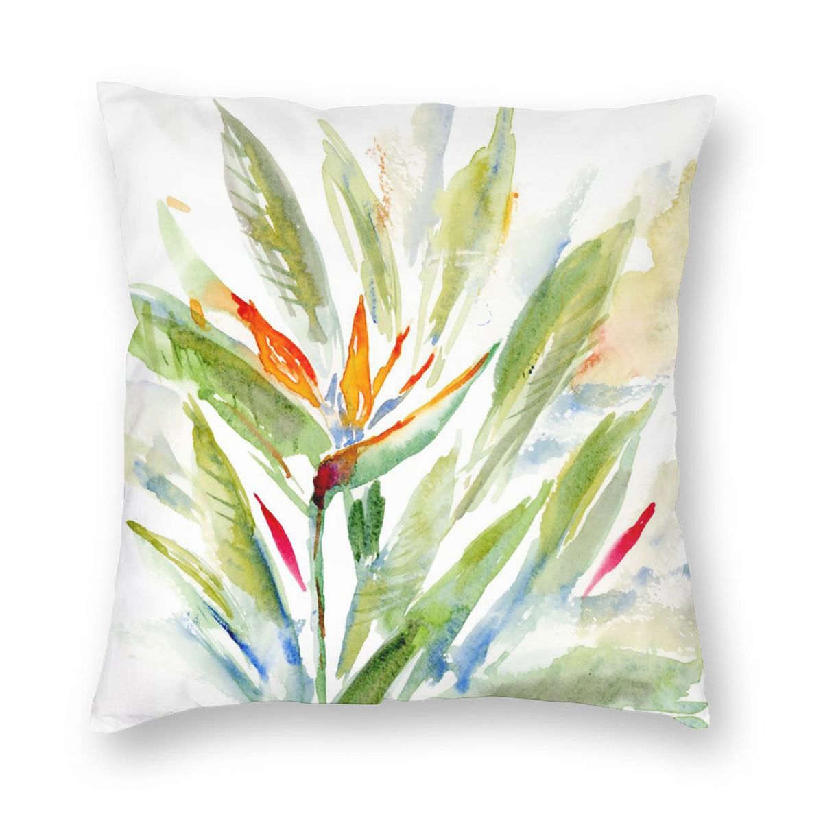 Bird Of Paradise Strelitzia Sq - Bird Paradise Strelitzia avis et prix