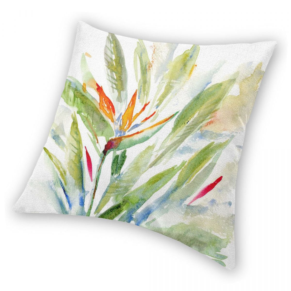 Bird Of Paradise Strelitzia Sq - Bird Paradise Strelitzia avis et prix