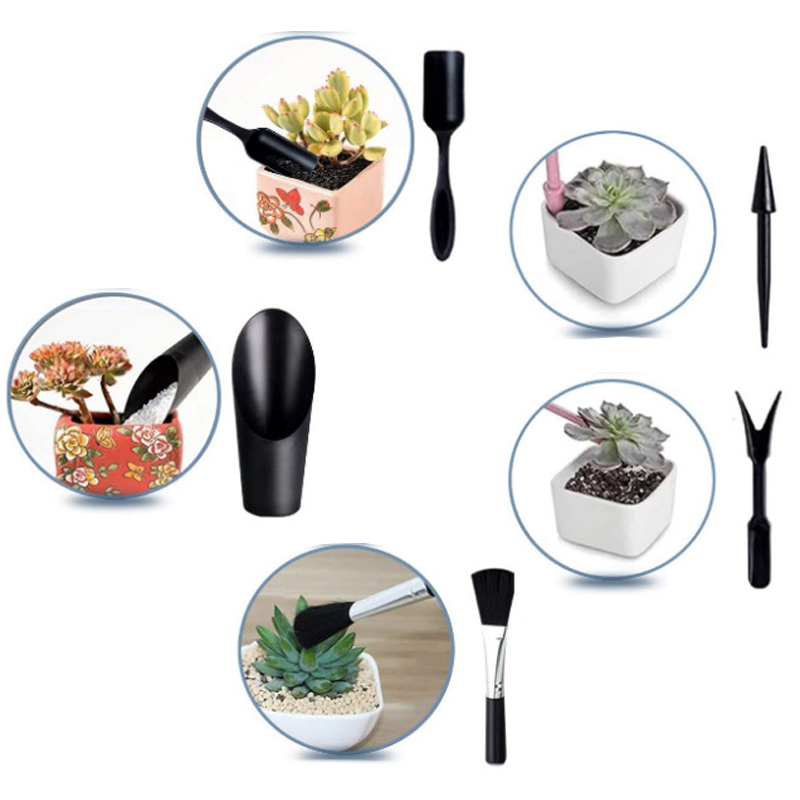 Mini Gardening Tool Set Label  - Echeveria Succulent avis et prix