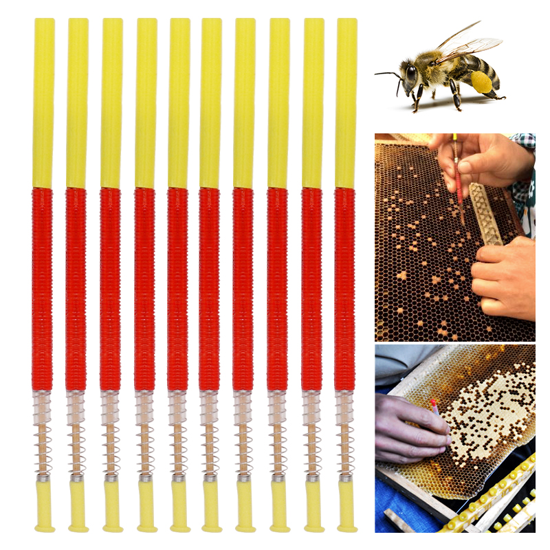 5/10Pcs Beekeeping Grafting To - Begonia Rex avis et prix