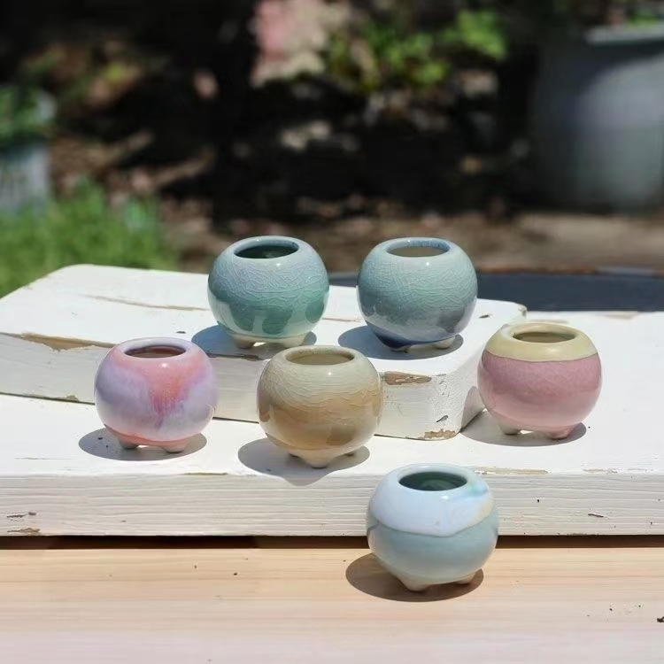 6Pcs Mini Flowerpot Succulents - Echeveria Succulent avis et prix