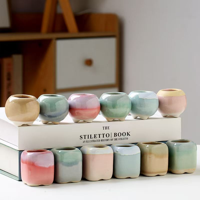 6Pcs Mini Flowerpot Succulents - Echeveria Succulent avis et prix