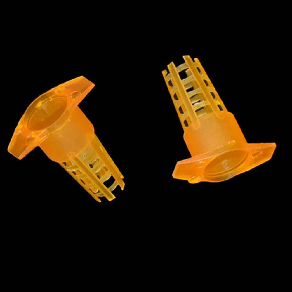 20 pcs Plastic Bee Queen Cage  - Begonia Rex avis et prix