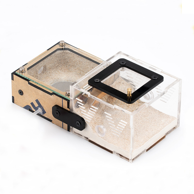 Unlimited Expansion Ant Farm H - Begonia Rex avis et prix