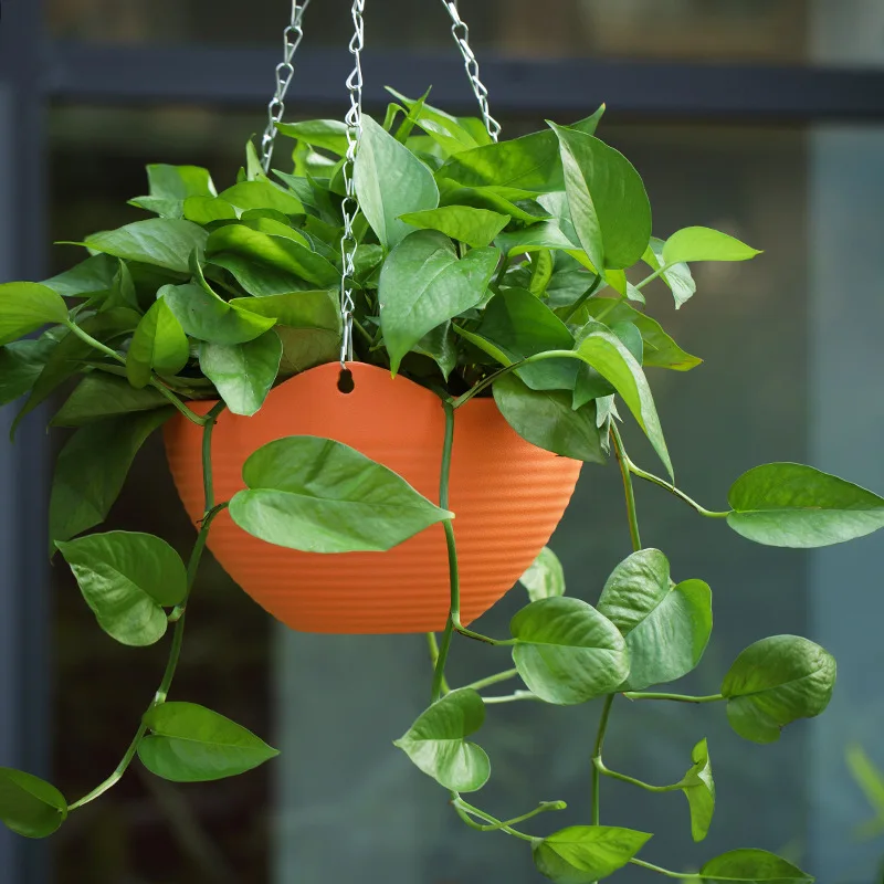Plastic hanging basket flower  - Spider Plant Hanging avis et prix