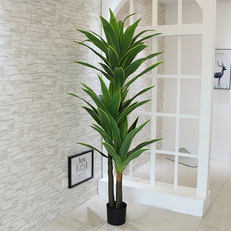 Nordic Wind Large Simulation P - Dracaena Marginata avis et prix