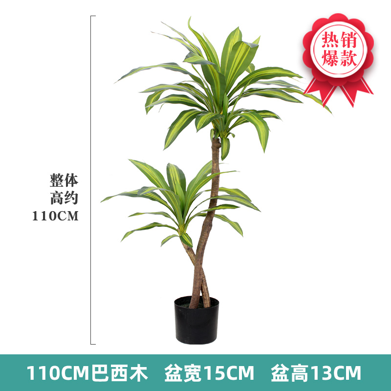 Nordic Wind Large Simulation P - Dracaena Marginata avis et prix