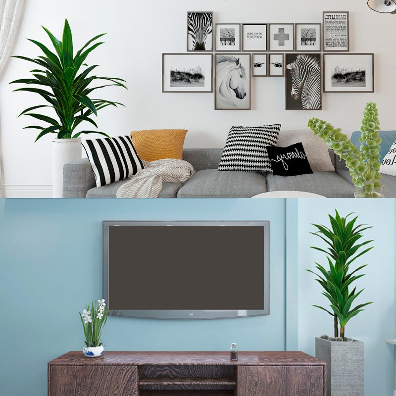Nordic Wind Large Simulation P - Dracaena Marginata avis et prix
