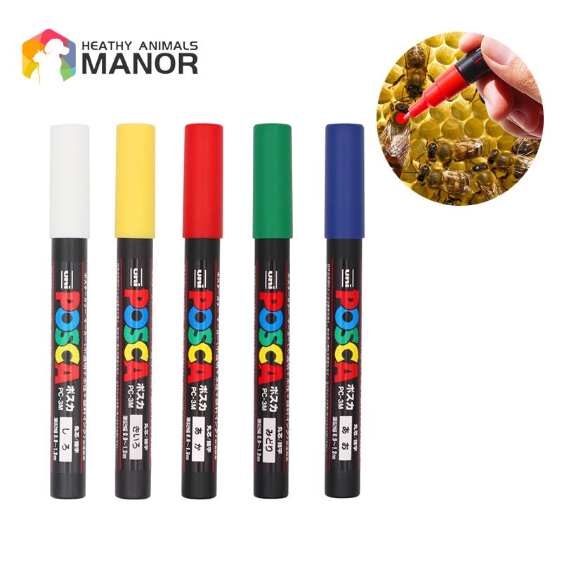 1Pcs Beekeeping Mark Pen Queen - Begonia Rex avis et prix