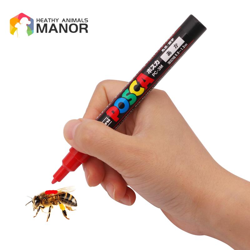 1Pcs Beekeeping Mark Pen Queen - Begonia Rex avis et prix